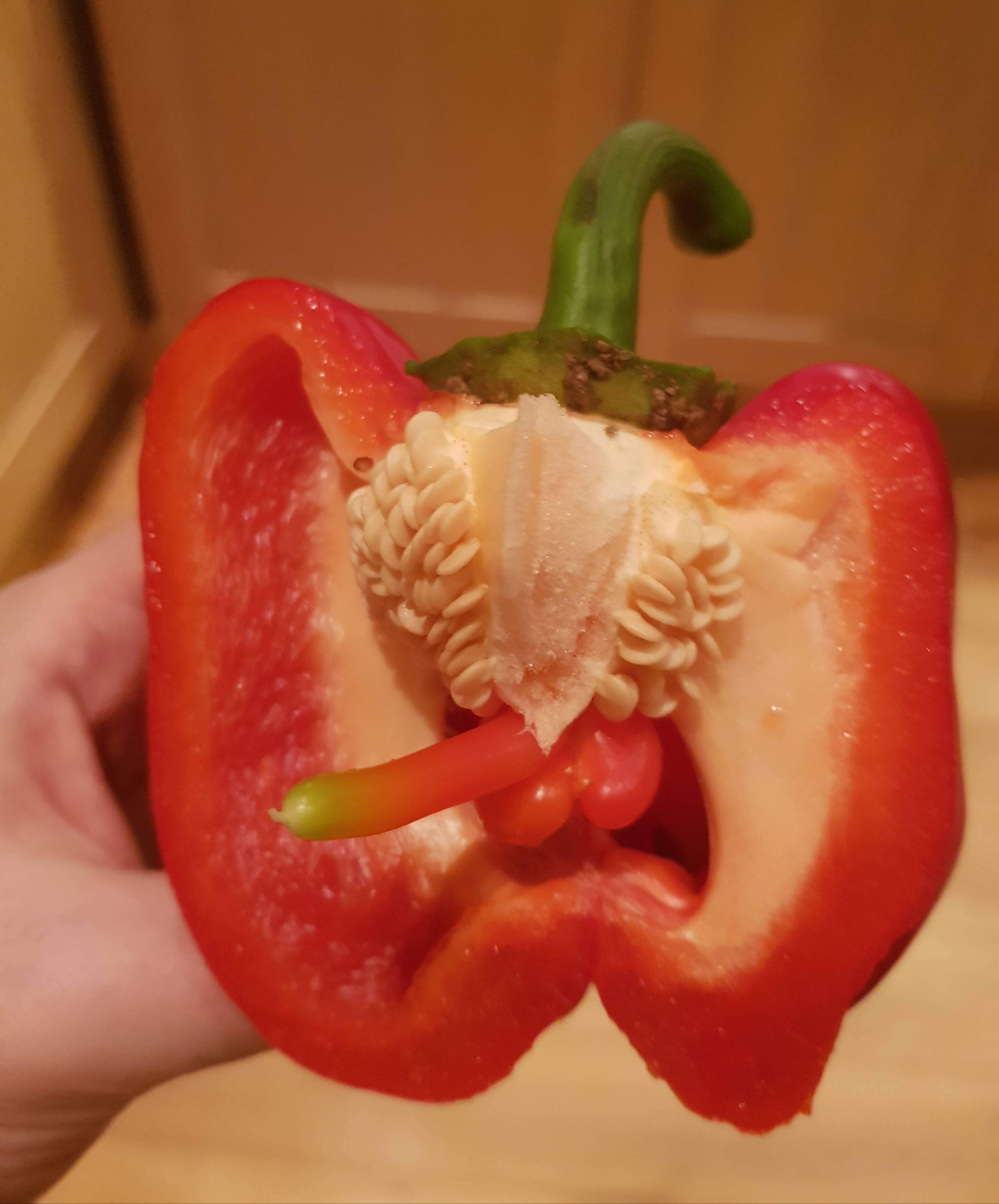 This bell pepper