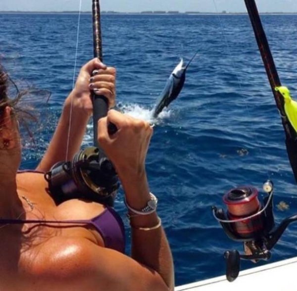 a dab of dirty humor ll do ya 35 photos 222 A dab of dirty humor ll do ya (45 Photos)