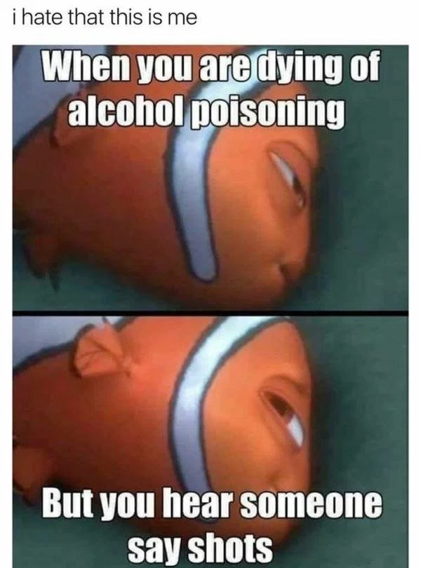 daily afternoon randomness 49 photos 2276 Daily Afternoon Randomness (49 Photos)