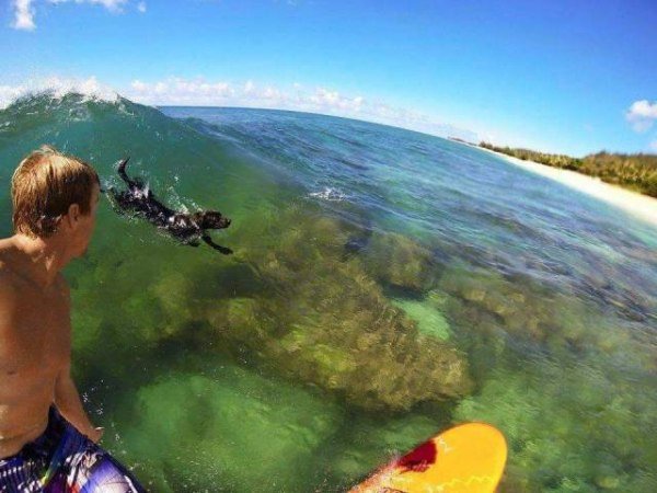 daily afternoon randomness 49 photos 297 Daily Afternoon Randomness (50 Photos)