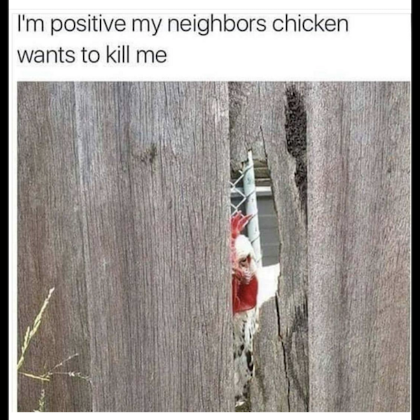 daily afternoon randomness 49 photos 29 Daily Afternoon Randomness (49 Photos)