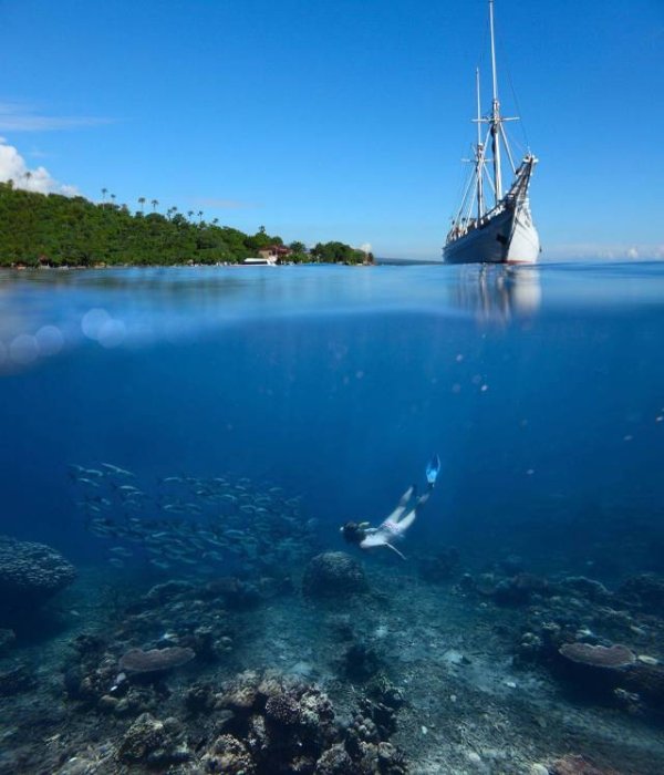 daily morning awesomeness 37 photos 500 25 Daily Morning Awesomeness (38 Photos)