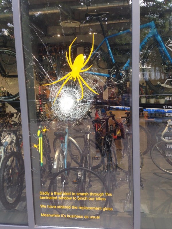 daily morning awesomeness 38 photos 500 215 Daily Morning Awesomeness (38 Photos)