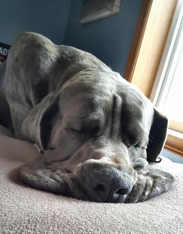 weekend afternoon randomness 35 photos 24 Weekend Afternoon Randomness (36 Photos)