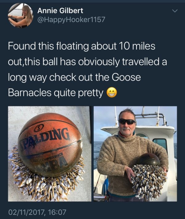 2277881 23 Daily Morning Awesomeness (38 Photos)