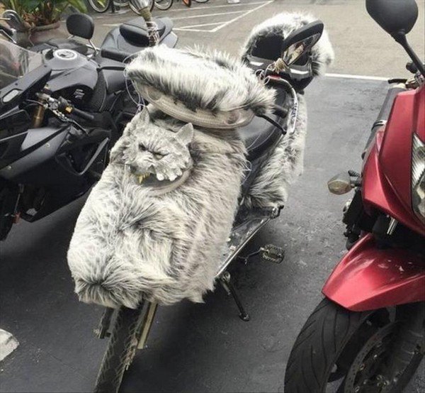 daily morning awesomeness 36 photos 251 Daily Morning Awesomeness (36 Photos)