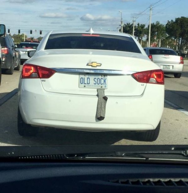 daily morning awesomeness 40 photos 2545 Daily Morning Awesomeness (41 Photos)