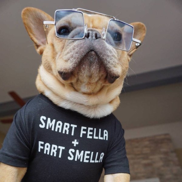 daily morning awesomeness 40 photos 255 Daily Morning Awesomeness (40 Photos)