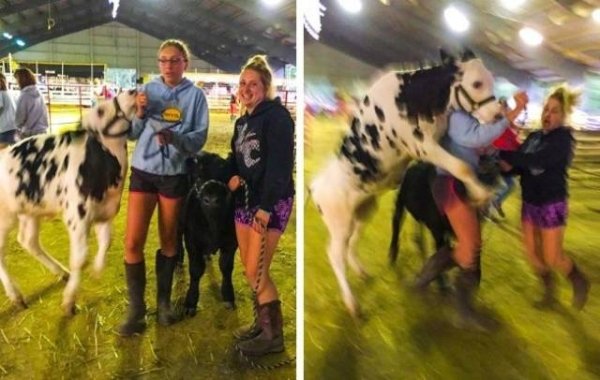 daily picdump 2735 640 02wtmk Daily Afternoon Randomness (50 Photos)