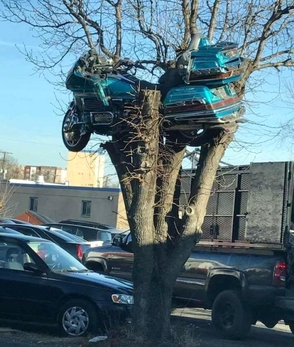 fa277cc1e1dac3fc1cca0eb328a9540c Daily Afternoon Randomness (49 Photos)