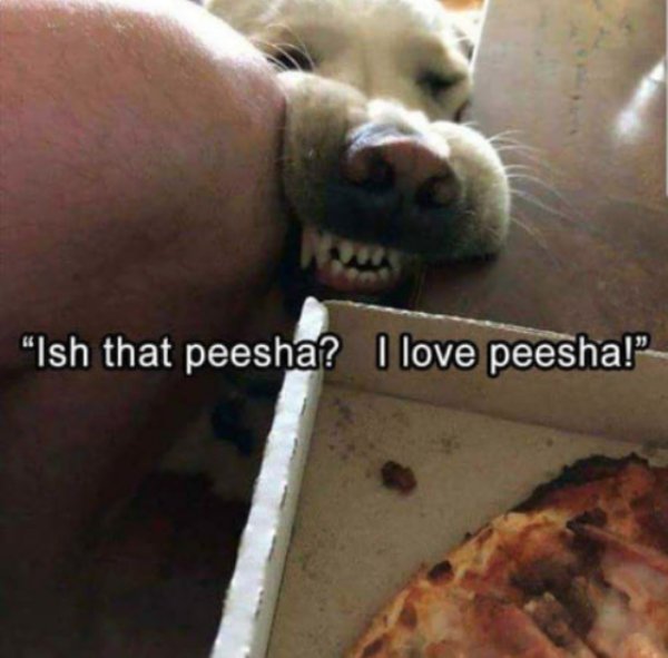 screen shot 2018 01 31 at 2 36 17 pmwtmk Daily Afternoon Randomness (50 Photos)