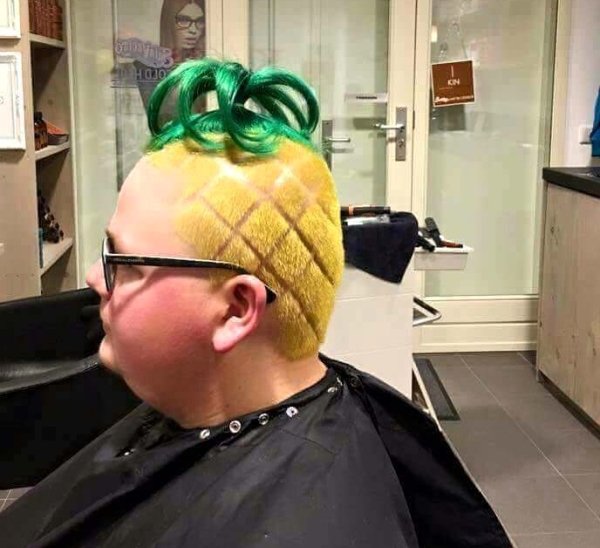 daily afternoon randomness 49 photos 25282 Daily Afternoon Randomness (49 Photos)