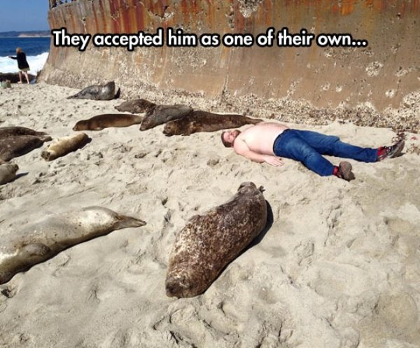 funny seal beach sand man lay down Weekend Morning Awesomeness (35 Photos)