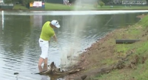 2429128 2513 Play it as it lies (47 photos)