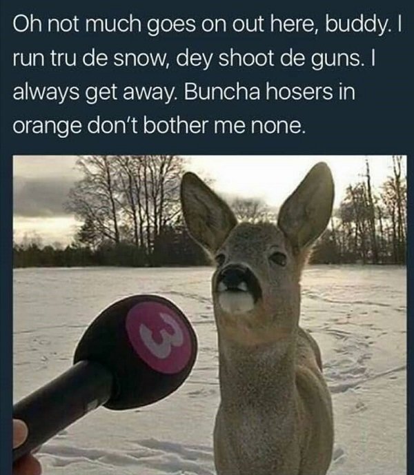 canadian memes eh 4 3 2018 12 12 32 451 Meanwhile, in Canada... (37 Photos)