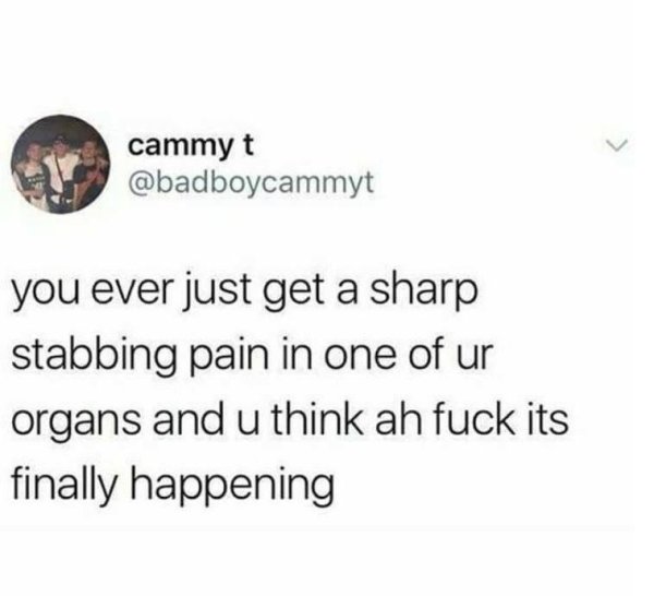 daily afternoon randomness 49 photos 19 Daily Afternoon Randomness (49 Photos)