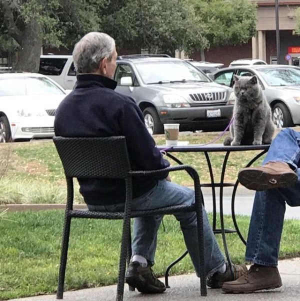 daily picdump 2768 640 high 09 Daily Morning Awesomeness (40 Photos)