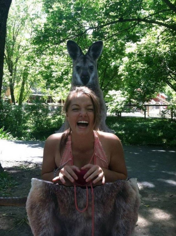 daily picdump 2773 640 high 09 Daily Morning Awesomeness (45 Photos)