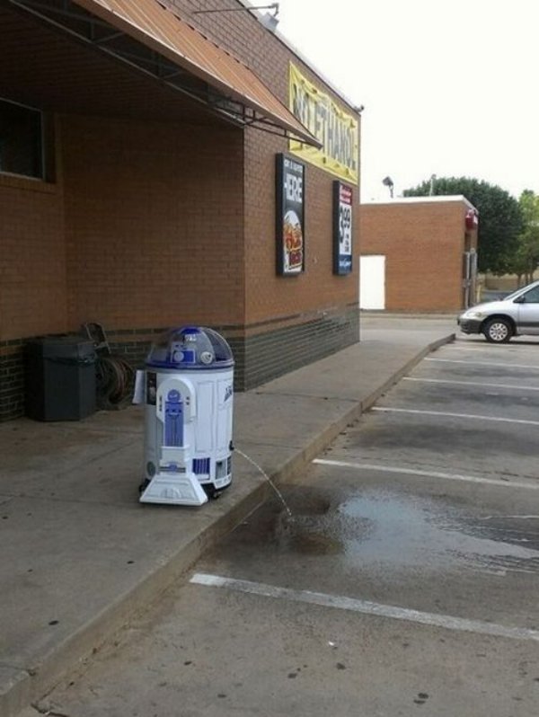 party memes and fails 42 photos 2516 Sooo... you got wasted (42 Photos)