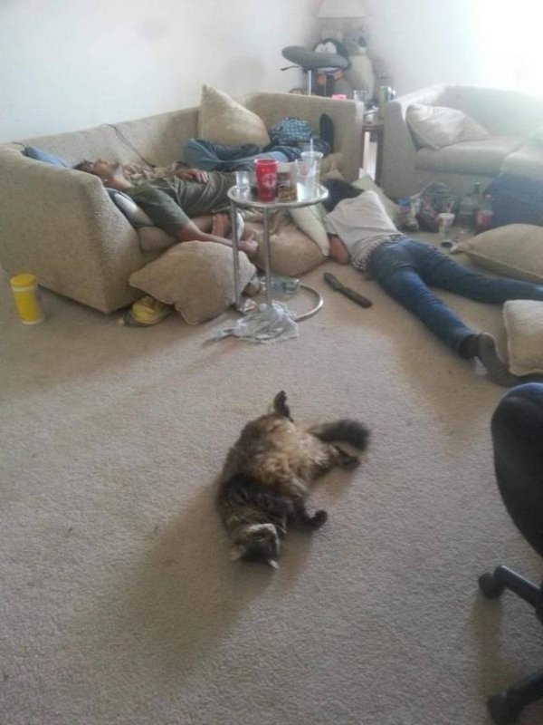 daily picdump 2790 640 high 22 Daily Morning Awesomeness (35 Photos)