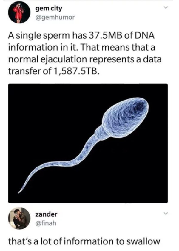 screen shot 2018 04 16 at 3 54 18 pmwtmk Daily Afternoon Randomness (50 Photos)