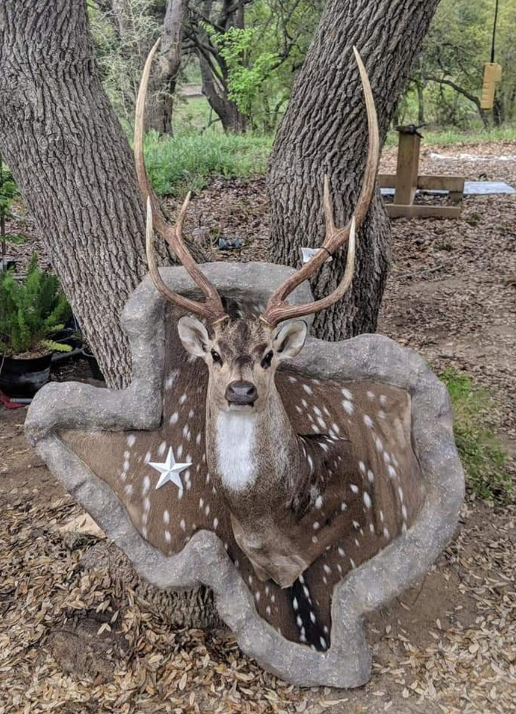 God take mercy on the South, they know not what they do