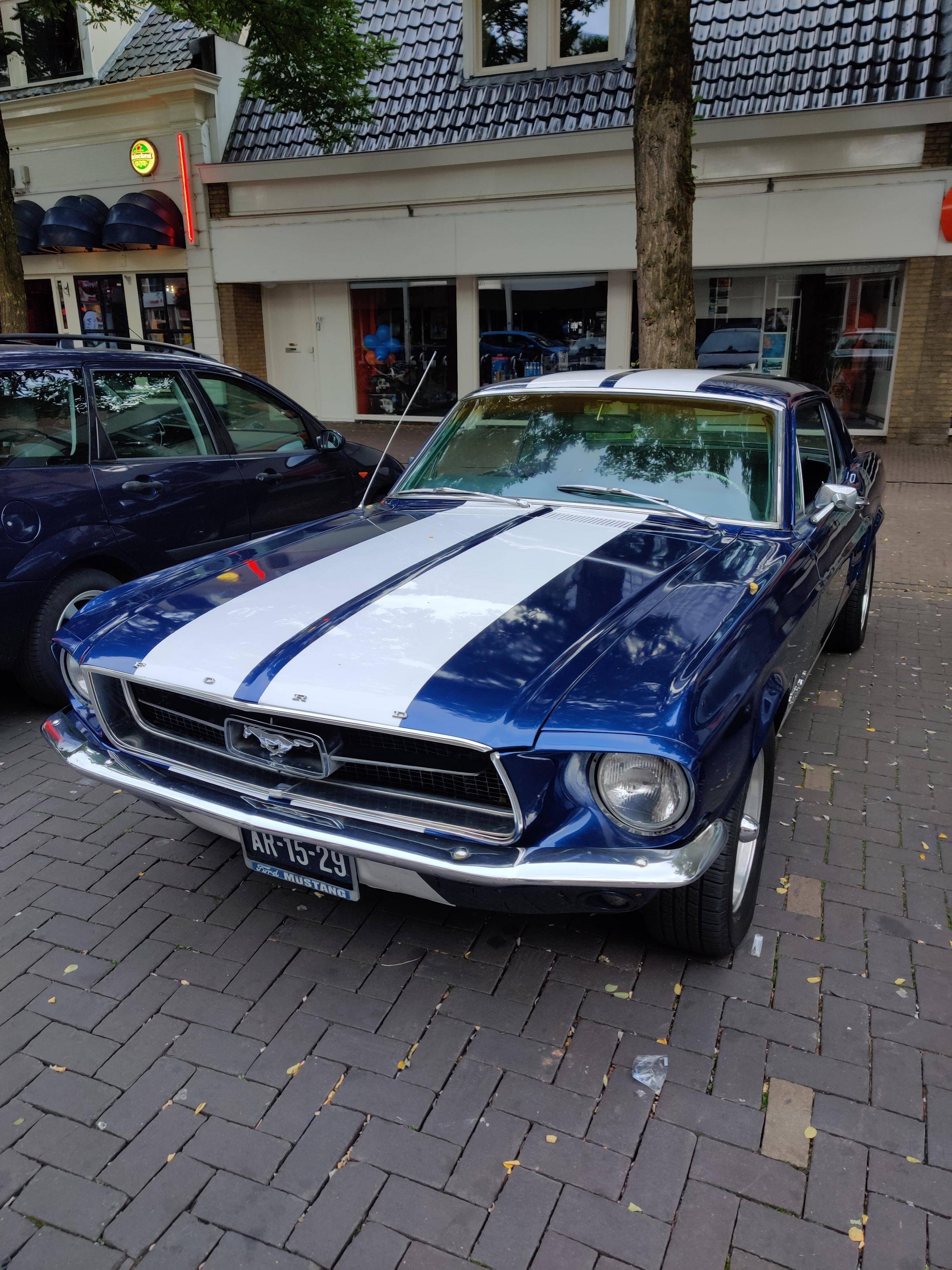 Rare to come across such a beauty in the Netherlands.